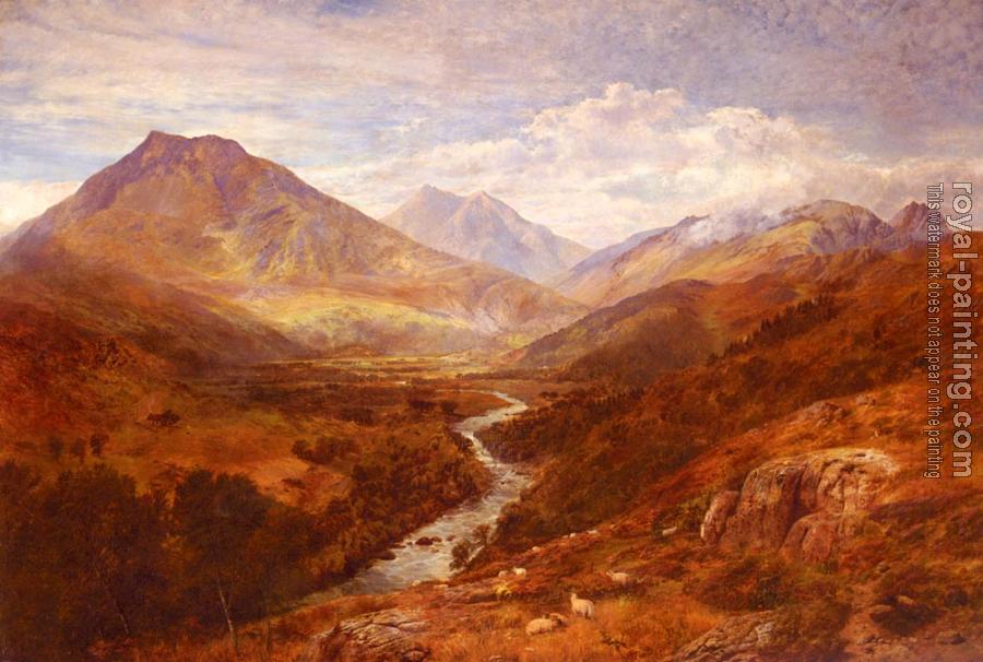 George Vicat Cole : A Welsh Landscape